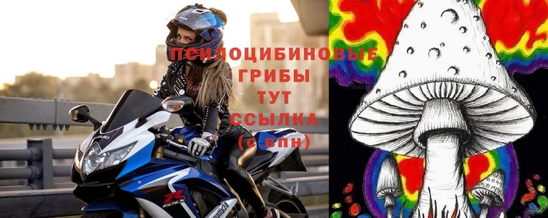 Галлюциногенные грибы MAGIC MUSHROOMS  цена   Волгореченск 